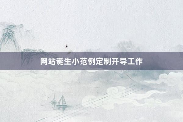 网站诞生小范例定制开导工作